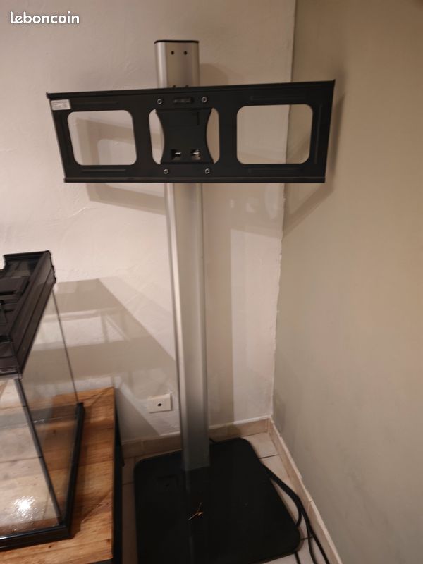 Pied Television (image 1)