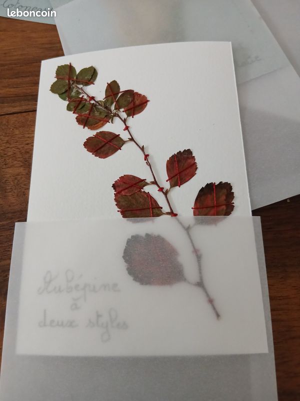 Herbier création originale (image 6)