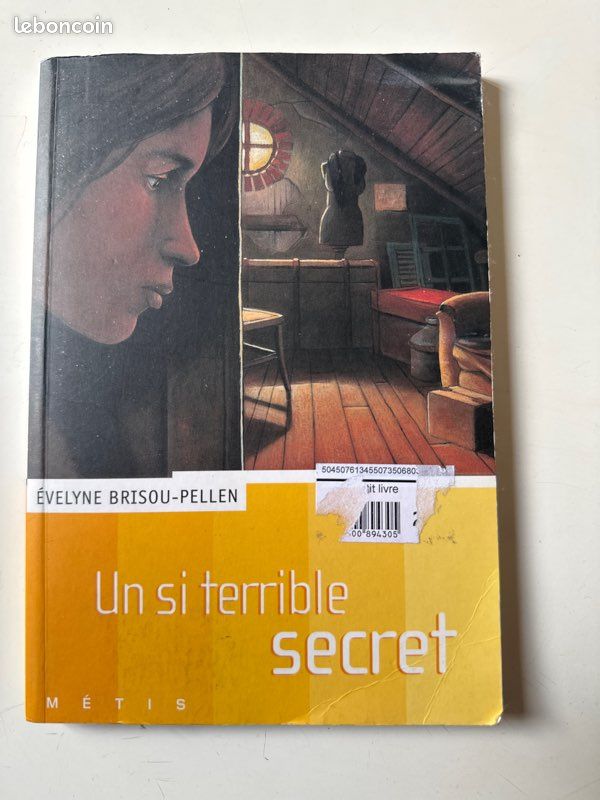 Un si terrible secret (image 1)
