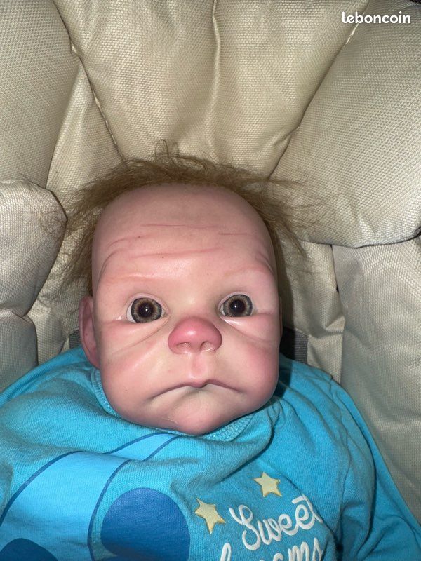 Bébé reborn (image 1)