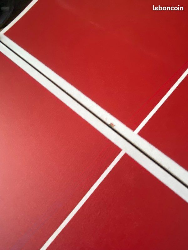 Mini table de ping pong pour enfants fun (image 9)