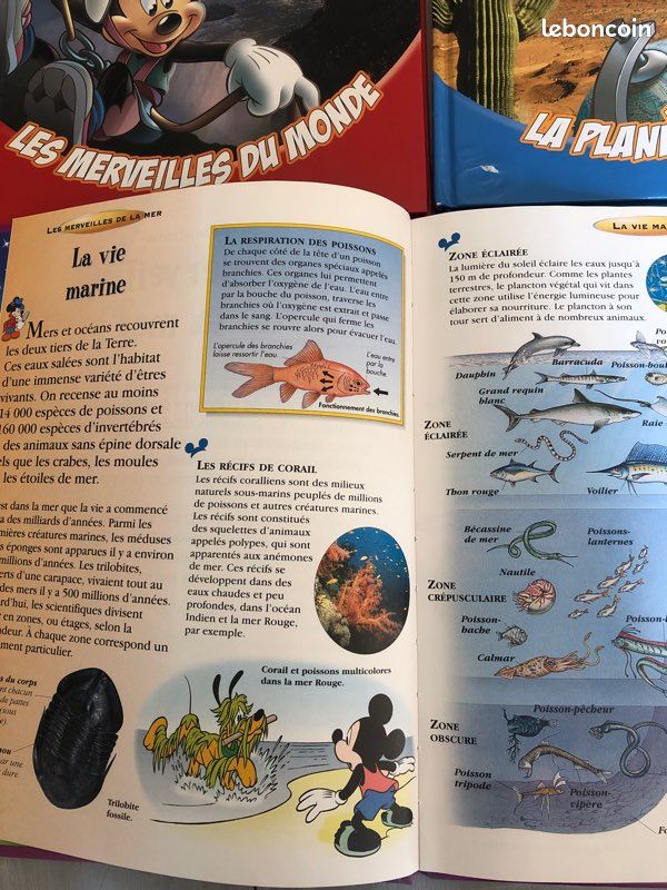 Lot livre Disney (image 3)