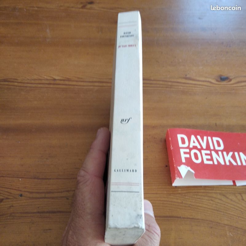 JE VAIS MIEUX de DAVID FOENKINOS (image 3)