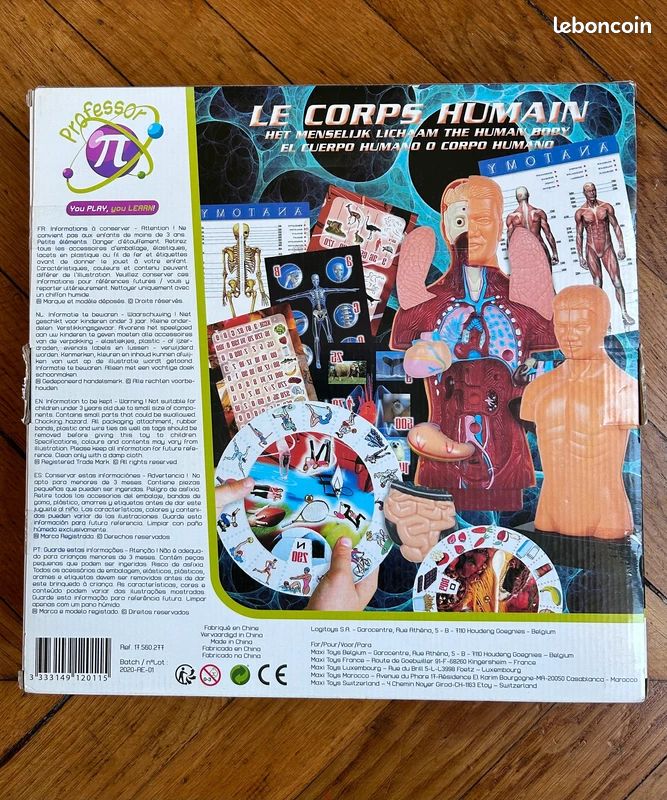 Neuf Le corps humain - Coffret Anatomie découverte/ professor pi (image 3)