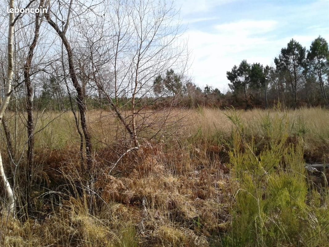 Terrain 700 m² Vertheuil · 39 000 €