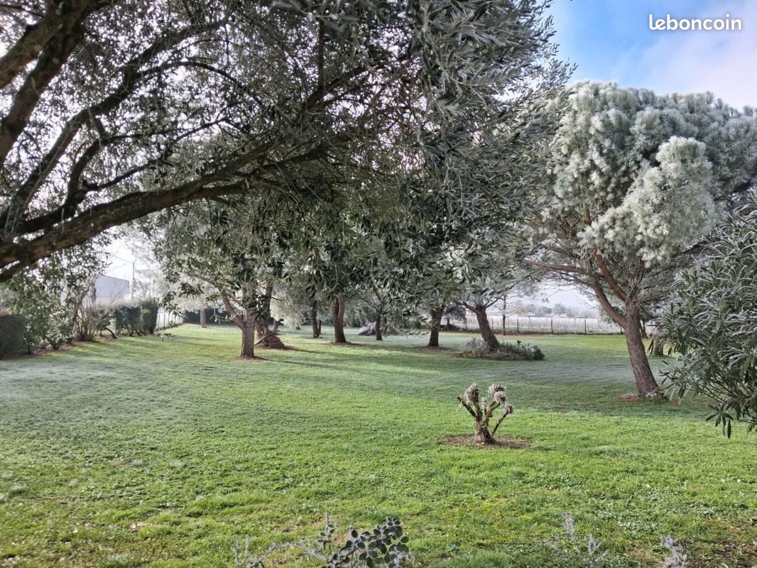 Terrain 2 703 m² Reparsac · à Réparsac · 50 000 €