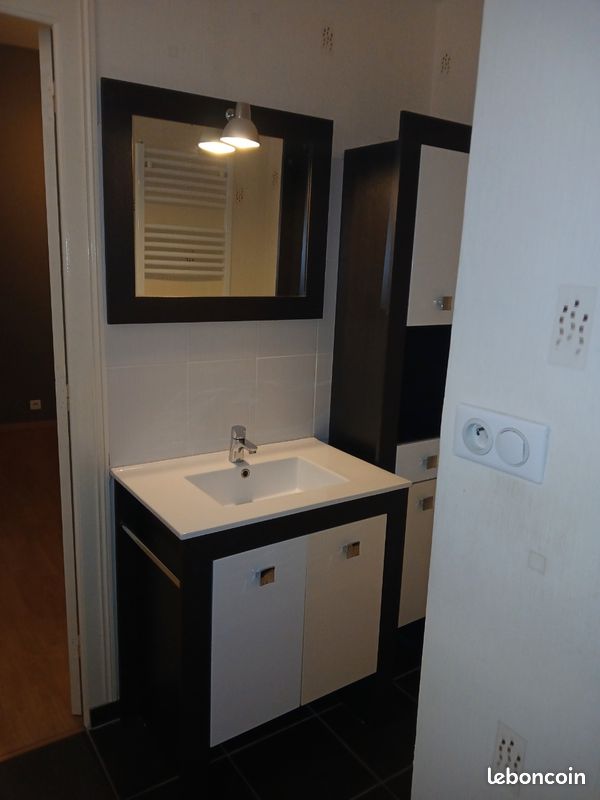 Appartement type 2 Roanne (image 3)