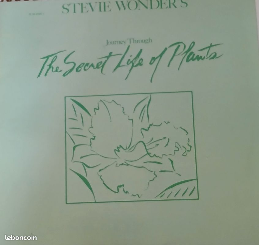 2 Vinyles Stevie Wonder (image 1)