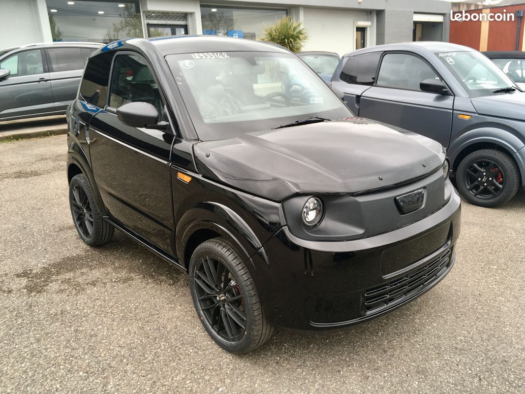 Ligier myli lab sans permis (image 5)