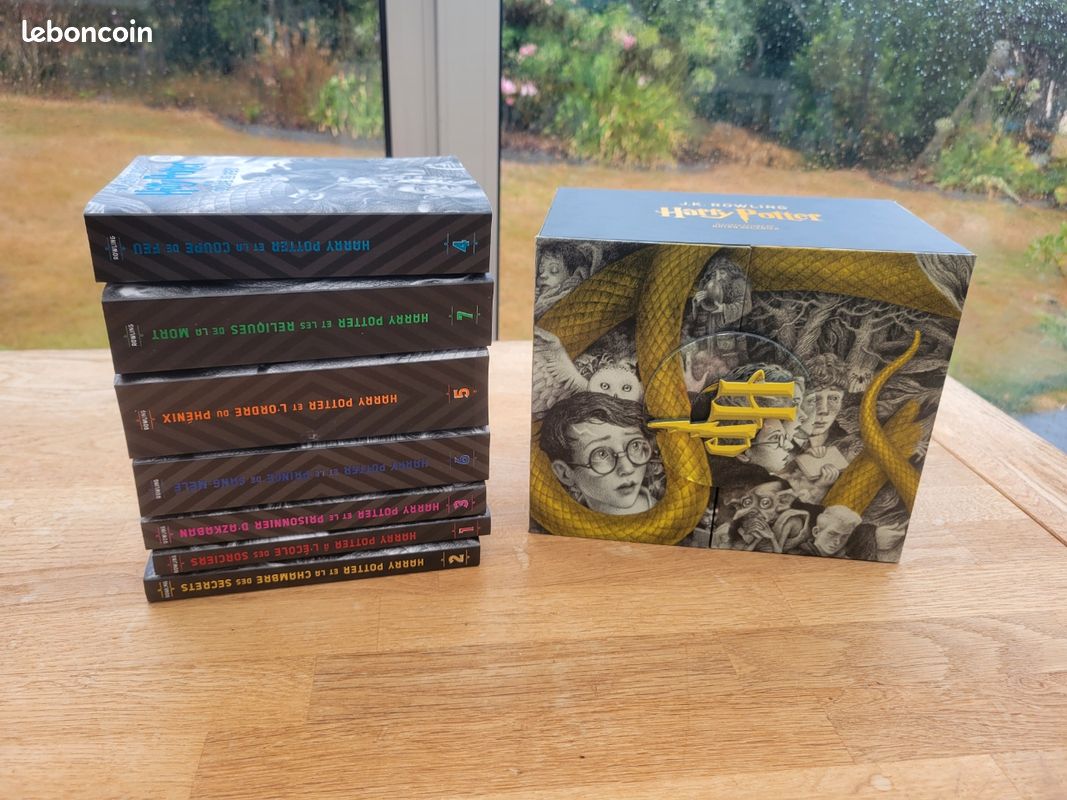 Saga Harry potter, édition spéciale Brian Selznic (image 1)