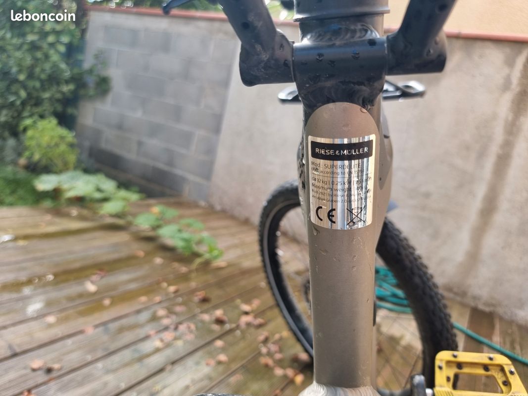 Vttae Riese & Müller GT Rohloff 2021 (transformation en VTT) (image 6)