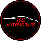 Logo du professionnel
