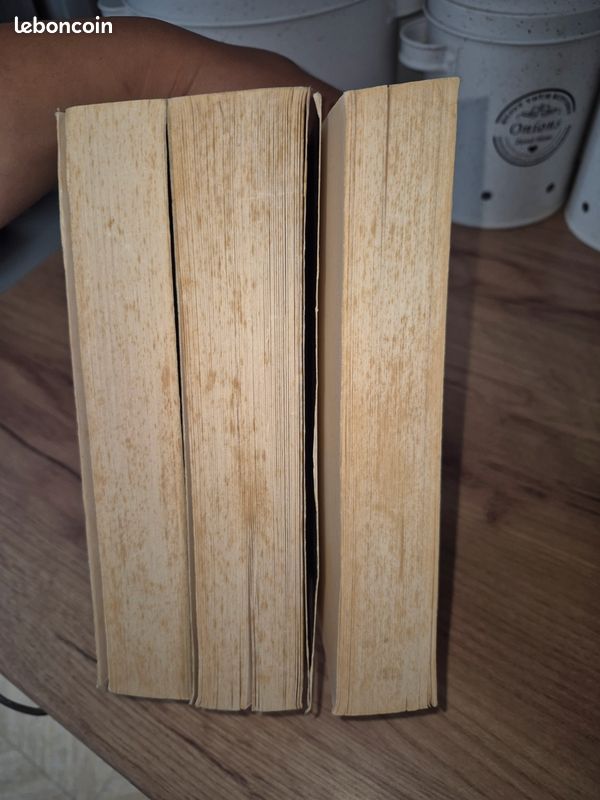 Lot de 3 livres Chroniques de Zombieland – Gena Showalter (image 4)