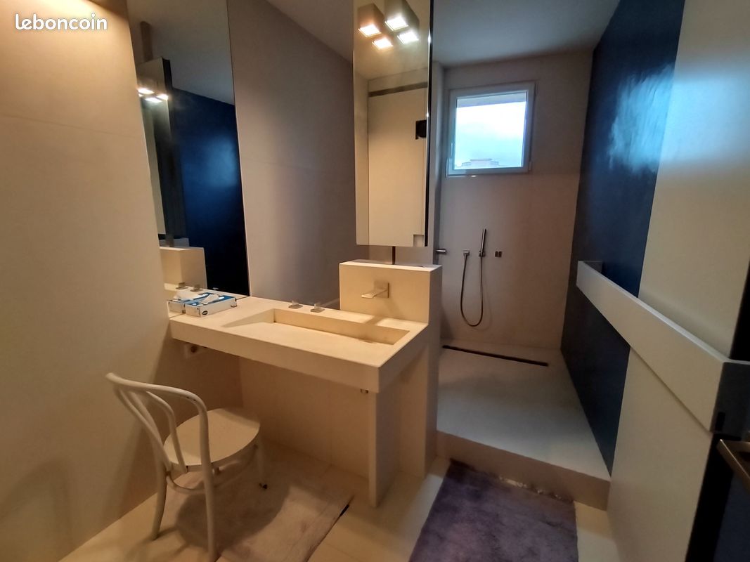 Appartement 3 pièces 108 m² - Limoges 87000 (image principale 5)