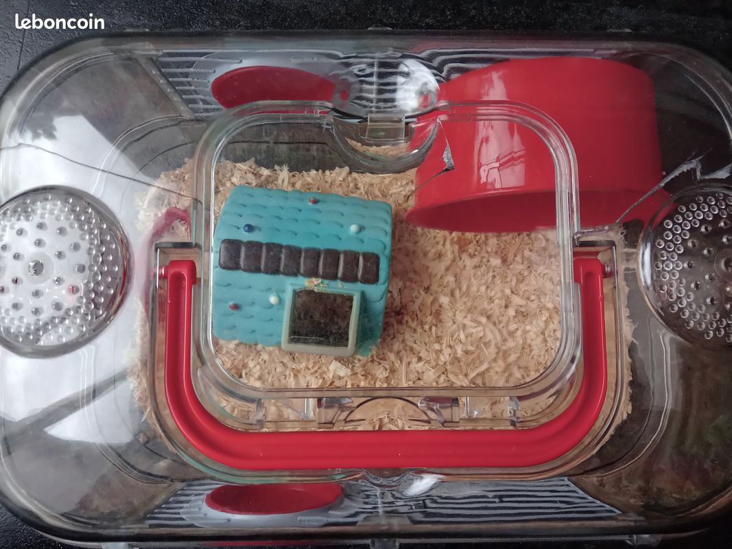 Boite de transport pour hamster (image 2)