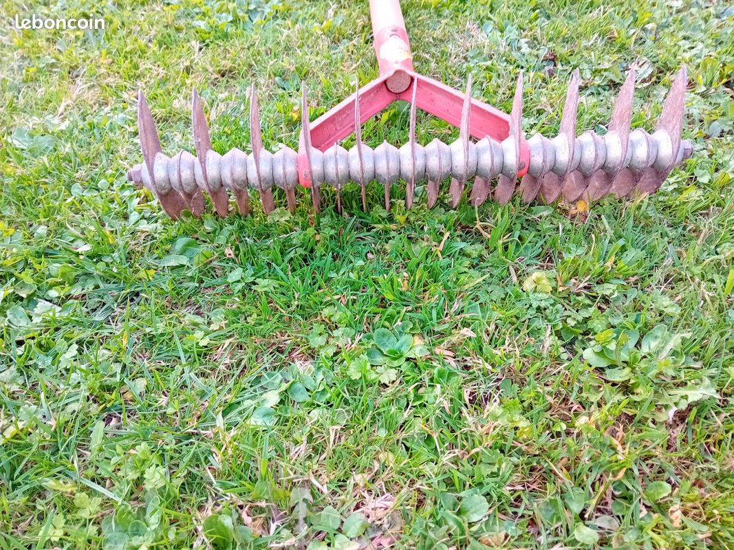 Râteau Défeutreur Pelouse 178 Cm - Dents Doubles Robustes, Longueur Réglable - Pour Enlever Mousse, Herbe Morte, Aérer Le Gazon