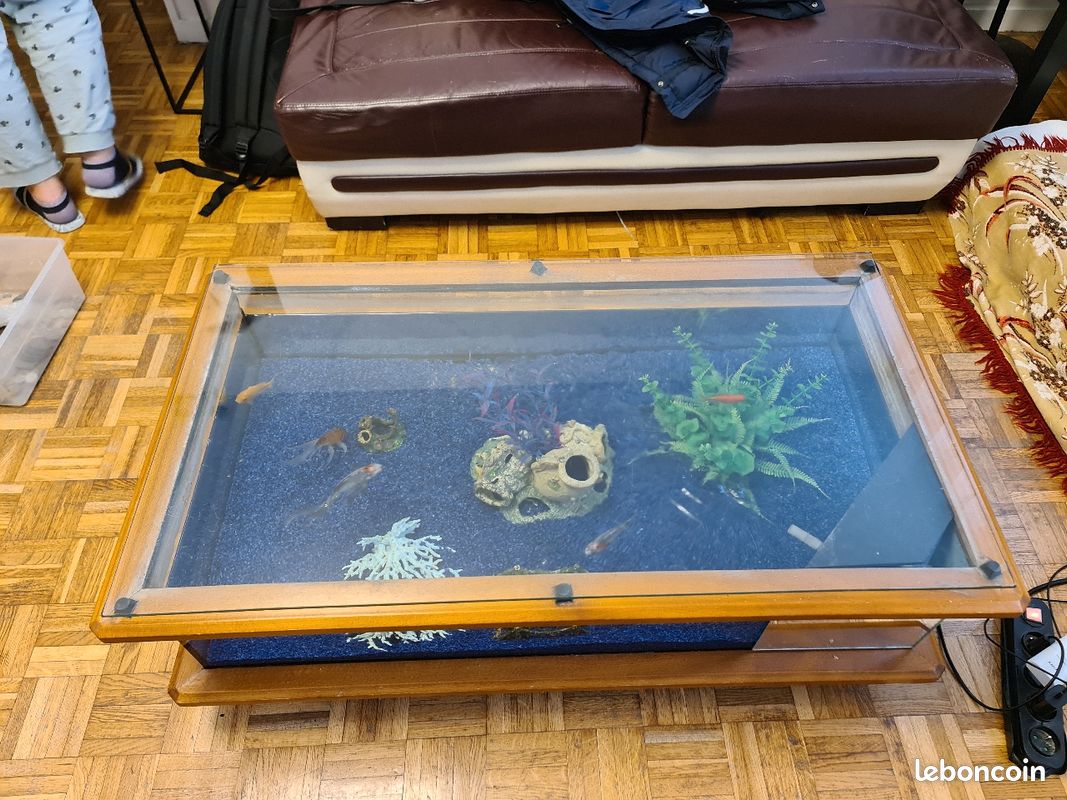 Table basse aquarium (image 1)