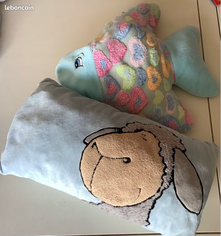 Lot de deux coussins (image 1)