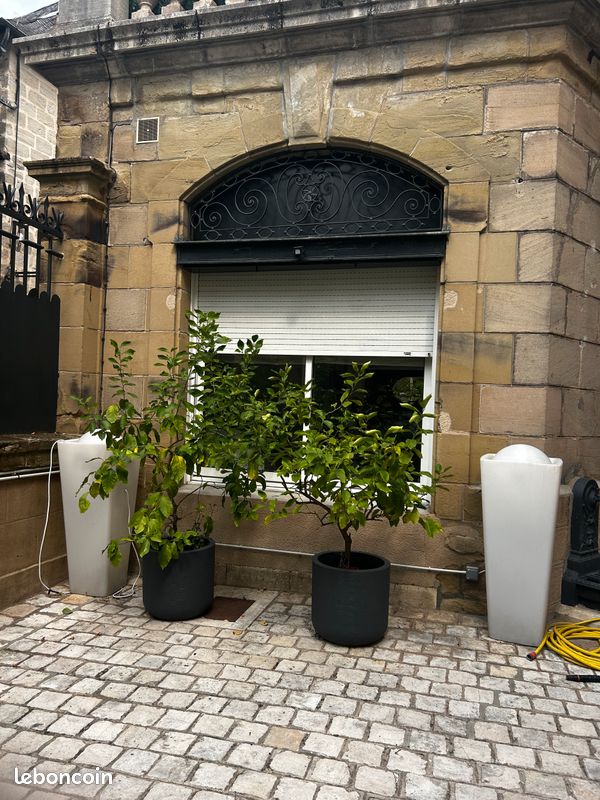 Maison a louer brive-la-gaillarde - 1 pièce(s) - 16 m2 - Surfyn