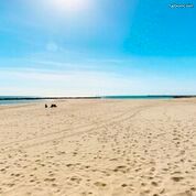 A louer cet été Type 3 Carnon Plage (image 10)