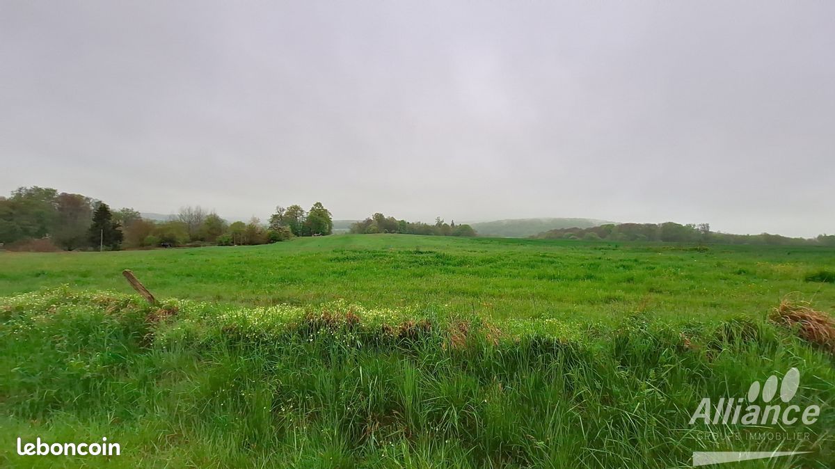 Terrain 3000 m² · à Courcelles · 3 000 m² · 99 000 €