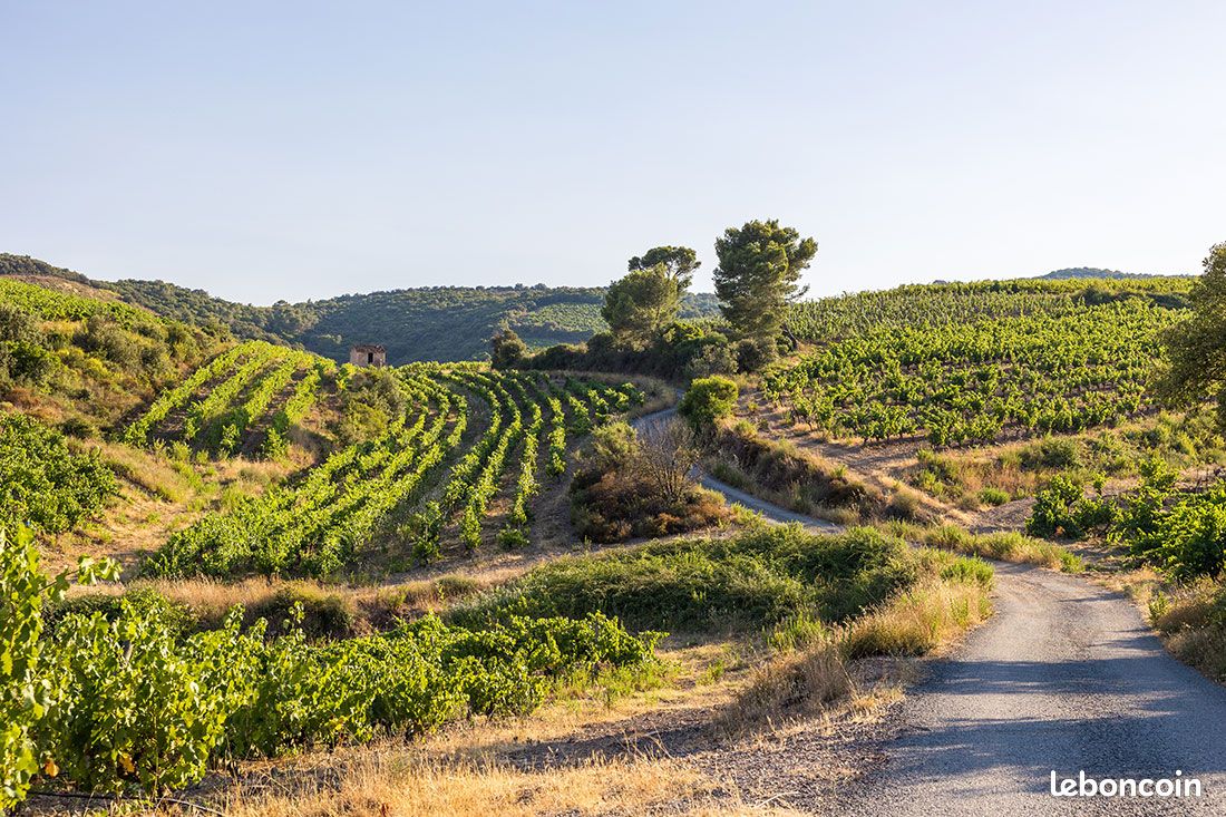 Terrain 235 m² Saint Andre De Sangonis · à Saint-André-de-Sangonis · 102 000 €