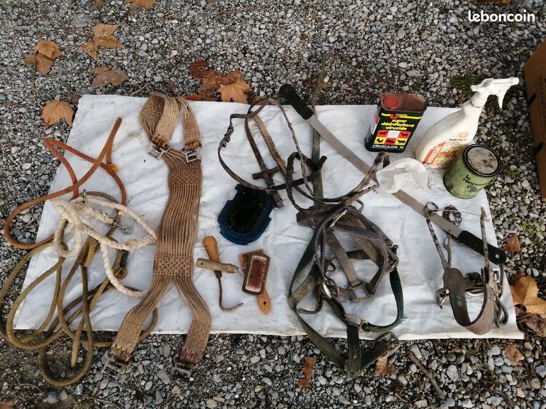 Accessoires divers monture cheval (image 1)