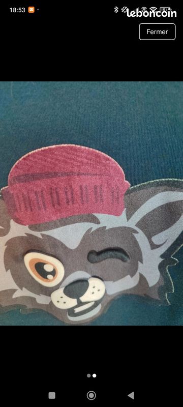 Sweat t 12 ans (image 2)