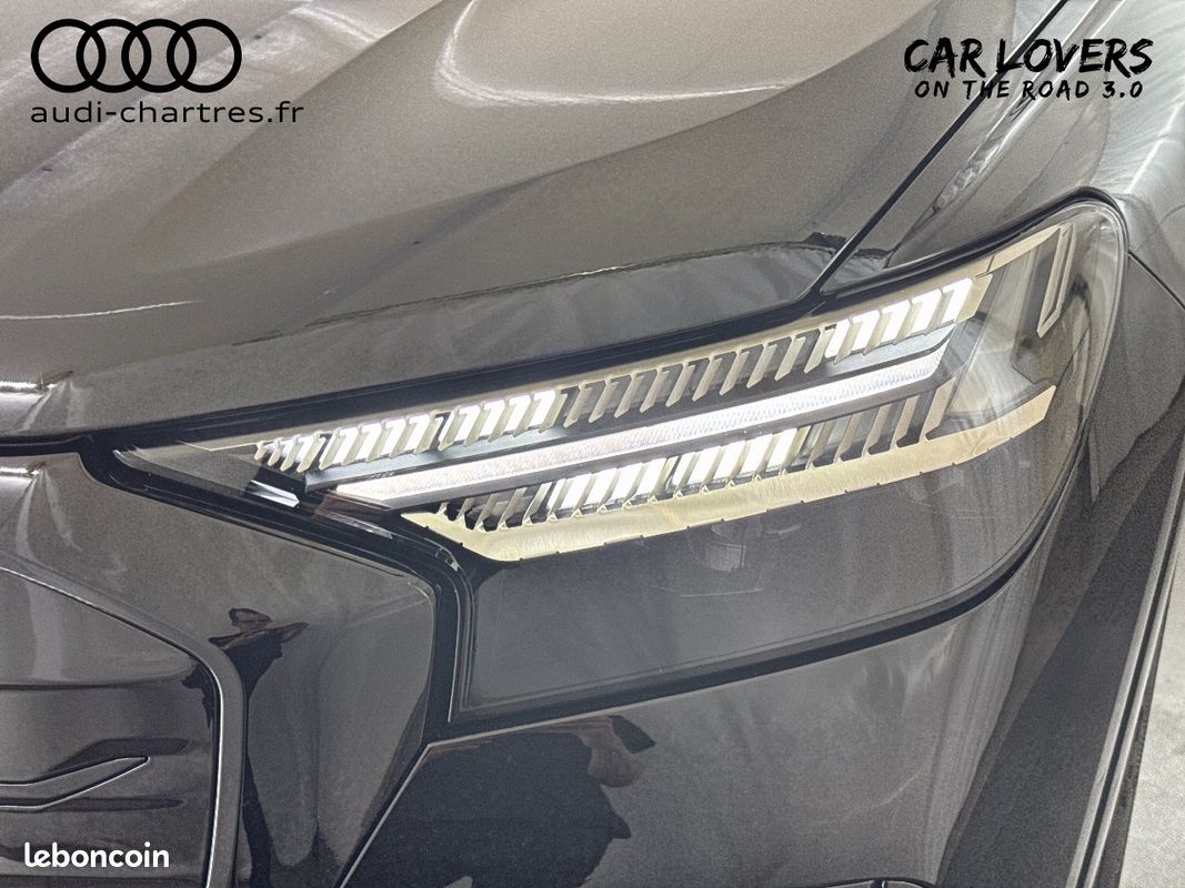AUDI Q4 e-tron Performance (image 22)
