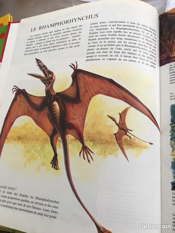Les animaux de la préhistoire (image 3)