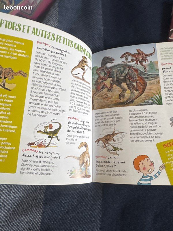 Pourquoi comment le moyen âge et les dinosaures Fleurus (image 9)