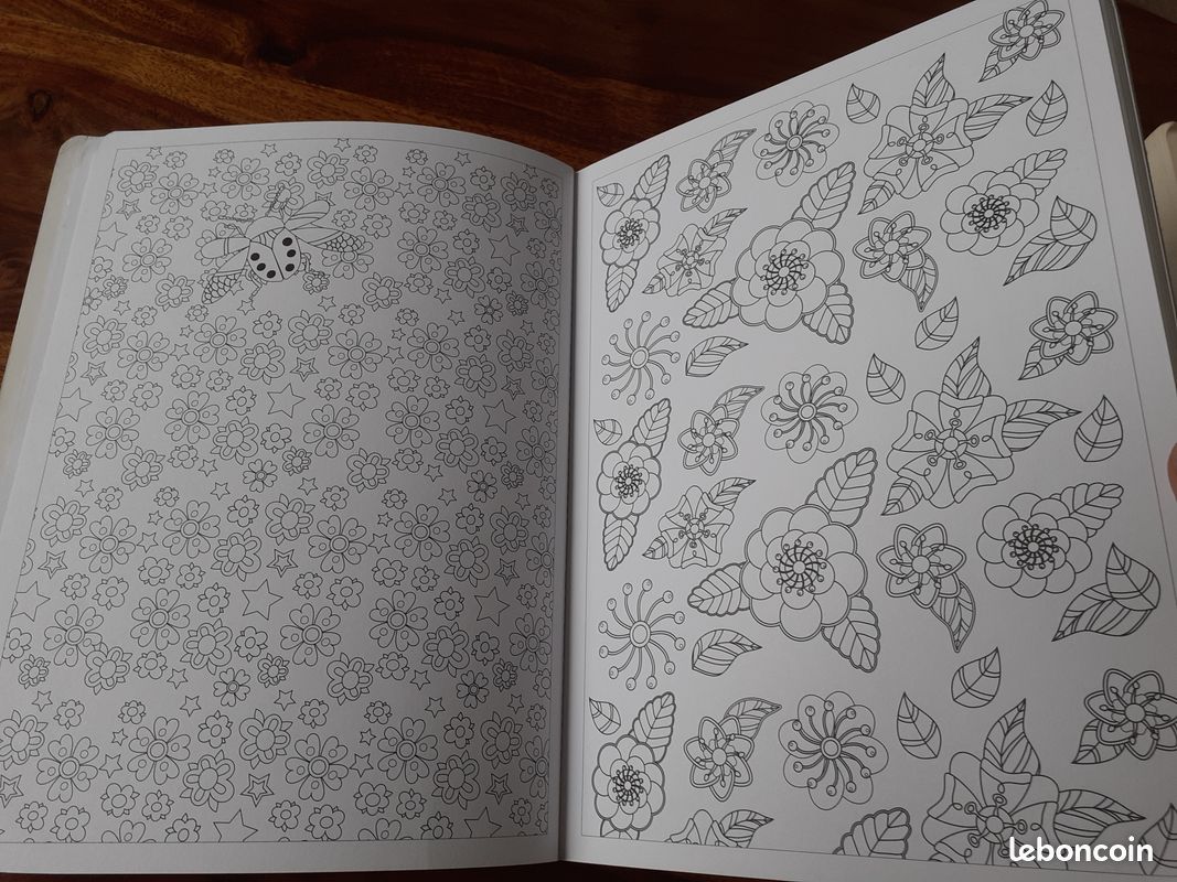 Livre coloriage "Infiniment fleuri" (image 4)