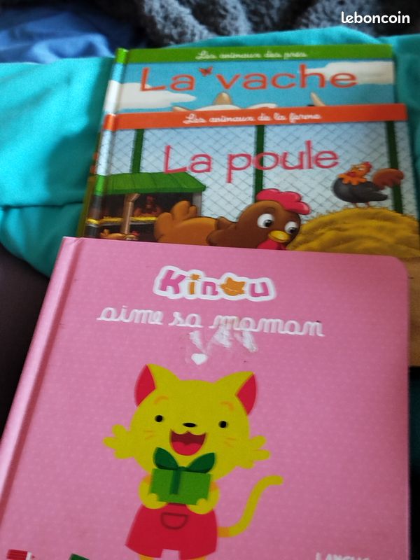 Livres enfants (image 2)
