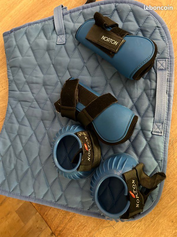 Lot guêtres et cloches Norton bleues plus tapis poney (image 1)