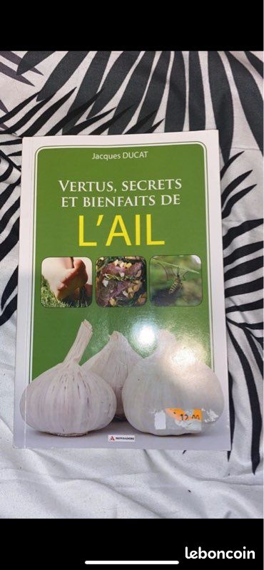 Vertus secrets et bienfaits de l’ail (image 1)