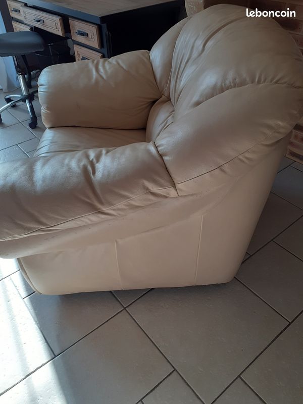 Fauteuil avec sa housse (image 6)