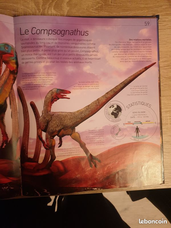 Géo jeunesse-Mystérieux dinosaures (image 2)