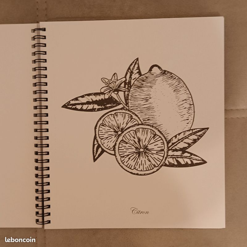 Livre de coloriage botanique (image 3)