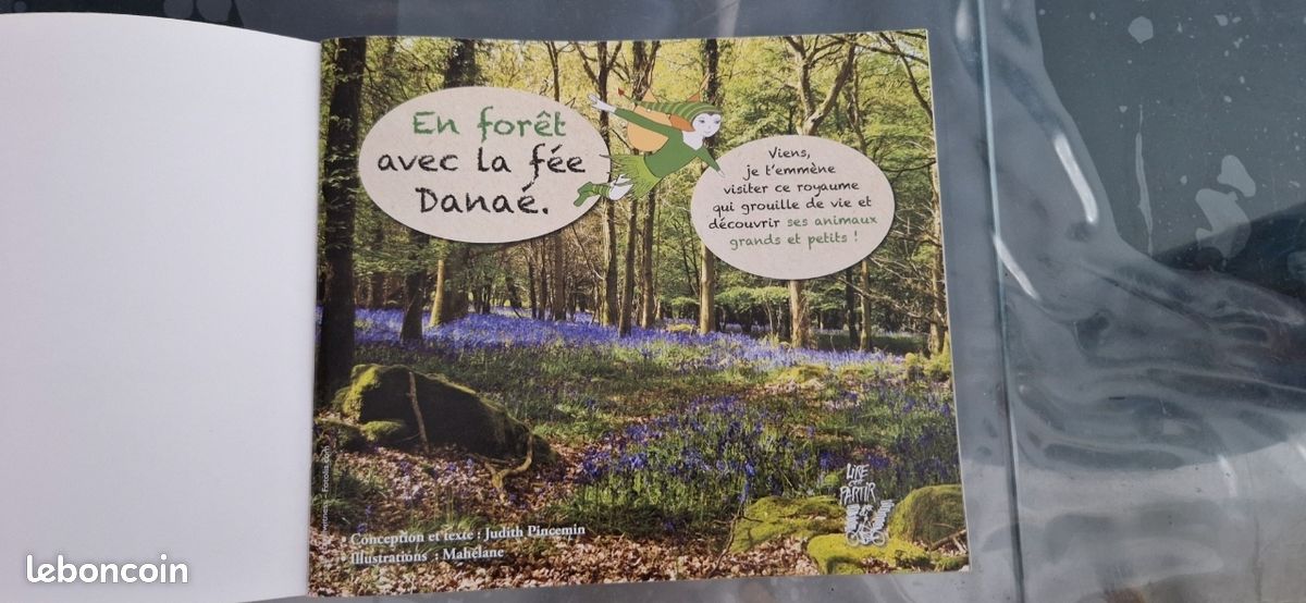 Livre : en forêt avec la fée Danaé (image 3)