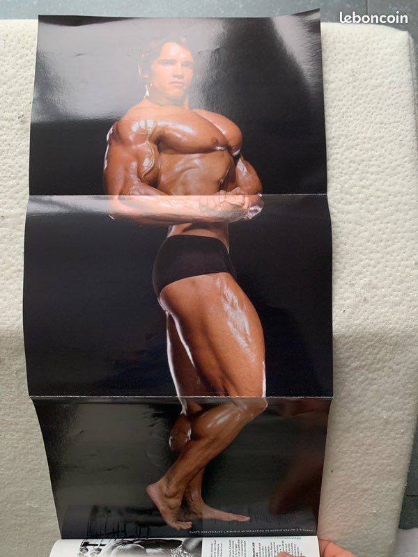 2 Poids Anciens BFCO National Fitness - 5 Livres (2.27 Kg) Chacun - Fonte - Occasion