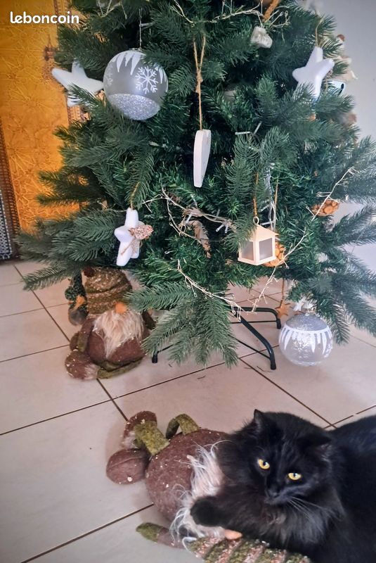 Arbre de Noël (image 5)