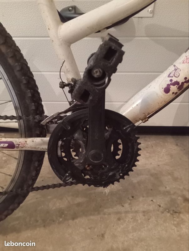 Vélo ado / adulte (image 5)