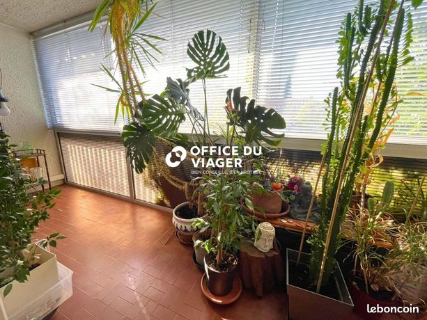 Maison en Viager 5 pièces 110 m² — 12