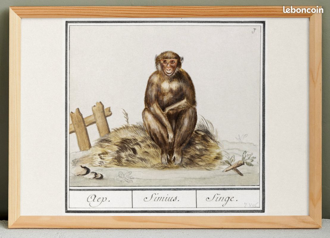 TABLEAU & PEINTURE Huile sur toile: animaux, abstrait, singe en costume