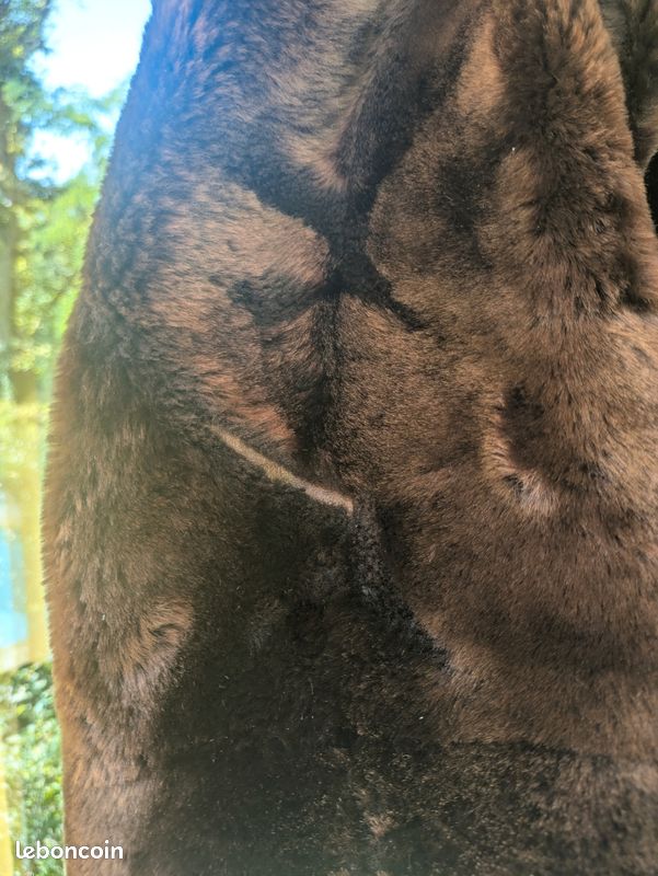 Manteau 3/4 - Mouton doré (image 5)