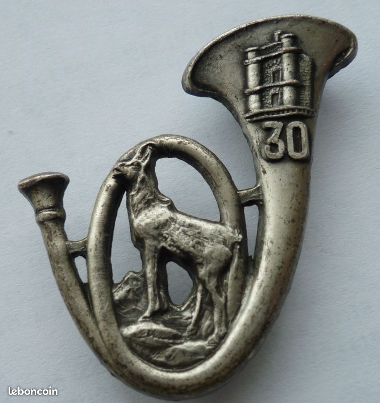 Insigne militaire (image 1)