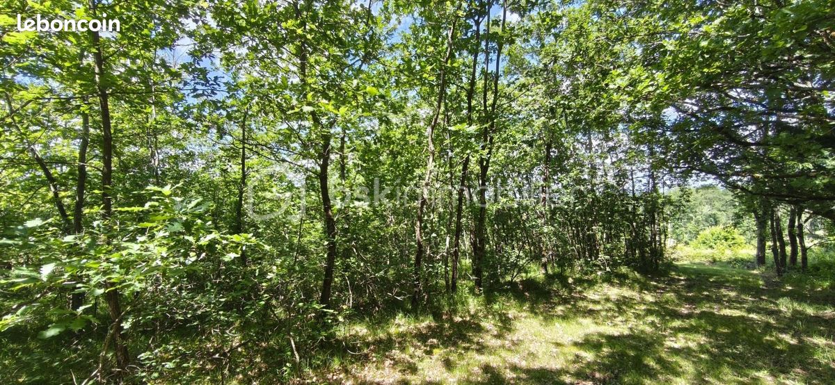 Terrain 1428 m² · à Montdurausse · 1 428 m² · 35 000 €