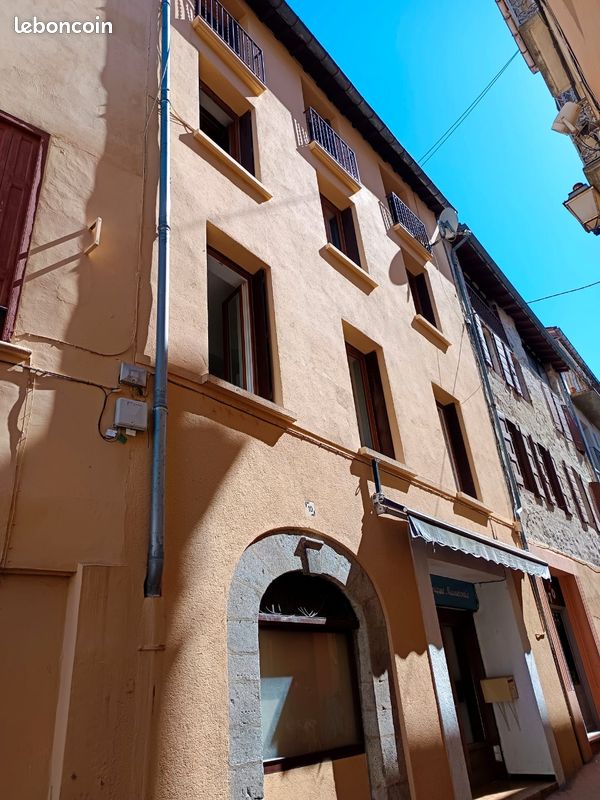 Maison 14 pièces 190 m² · à Prats-de-Mollo-la-Preste · 190 m² · 150 000 €
