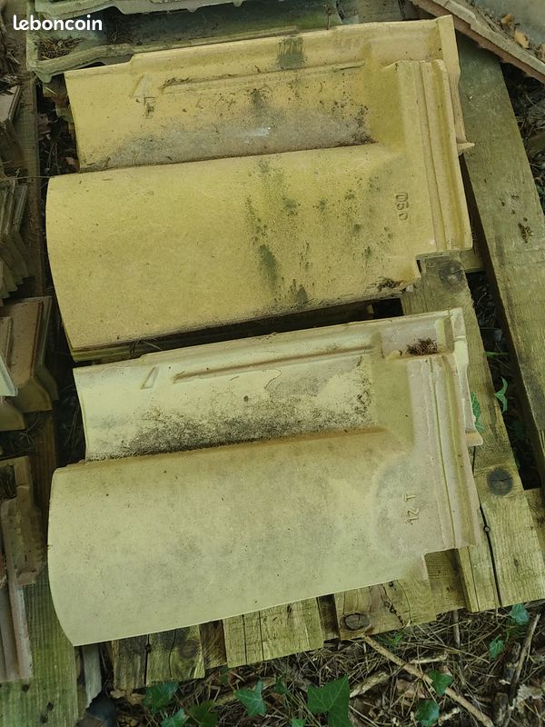 Tuile sous faîtière omega 10 (image 1)