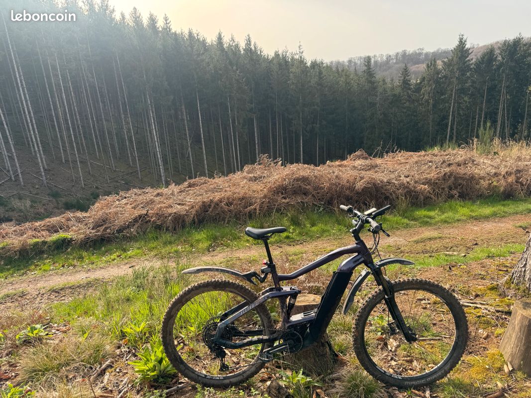 Haibike all trail8 (image 3)